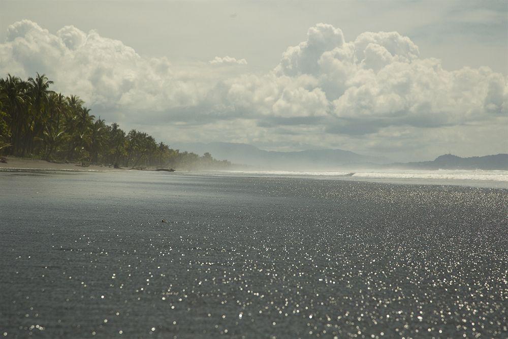 Clandestino Beach Resort Parrita Eksteriør bilde