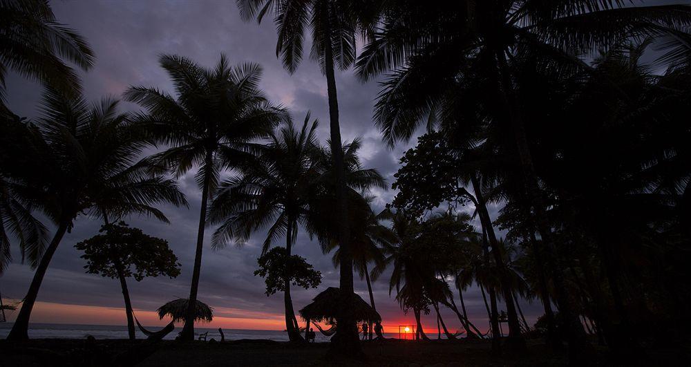 Clandestino Beach Resort Parrita Eksteriør bilde