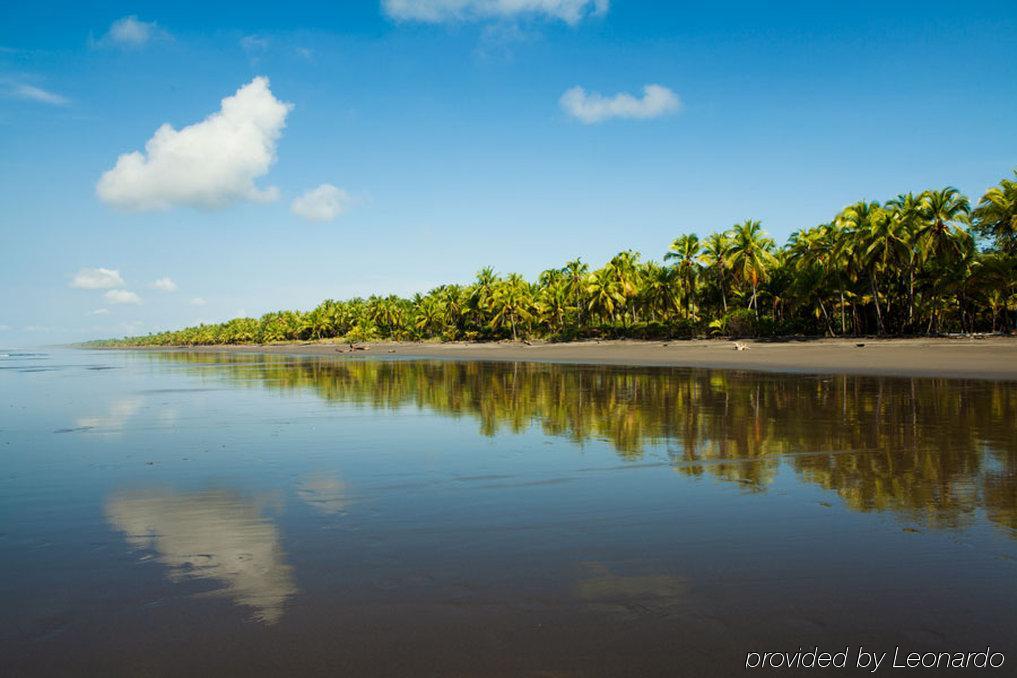 Clandestino Beach Resort Parrita Fasiliteter bilde