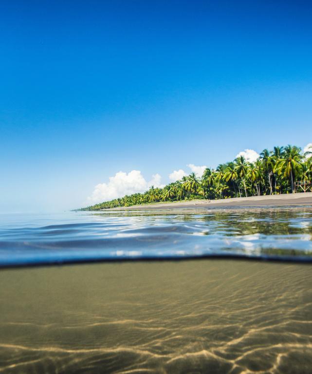 Clandestino Beach Resort Parrita Eksteriør bilde