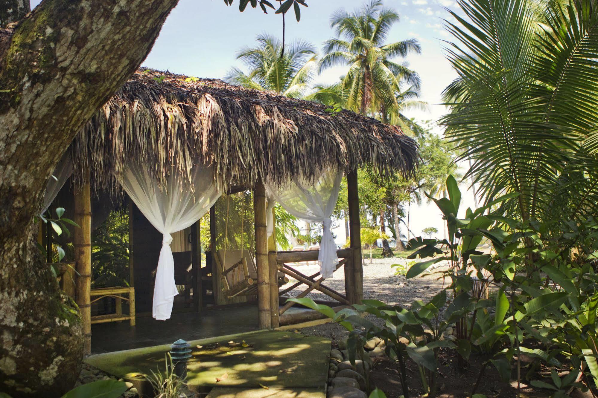 Clandestino Beach Resort Parrita Eksteriør bilde