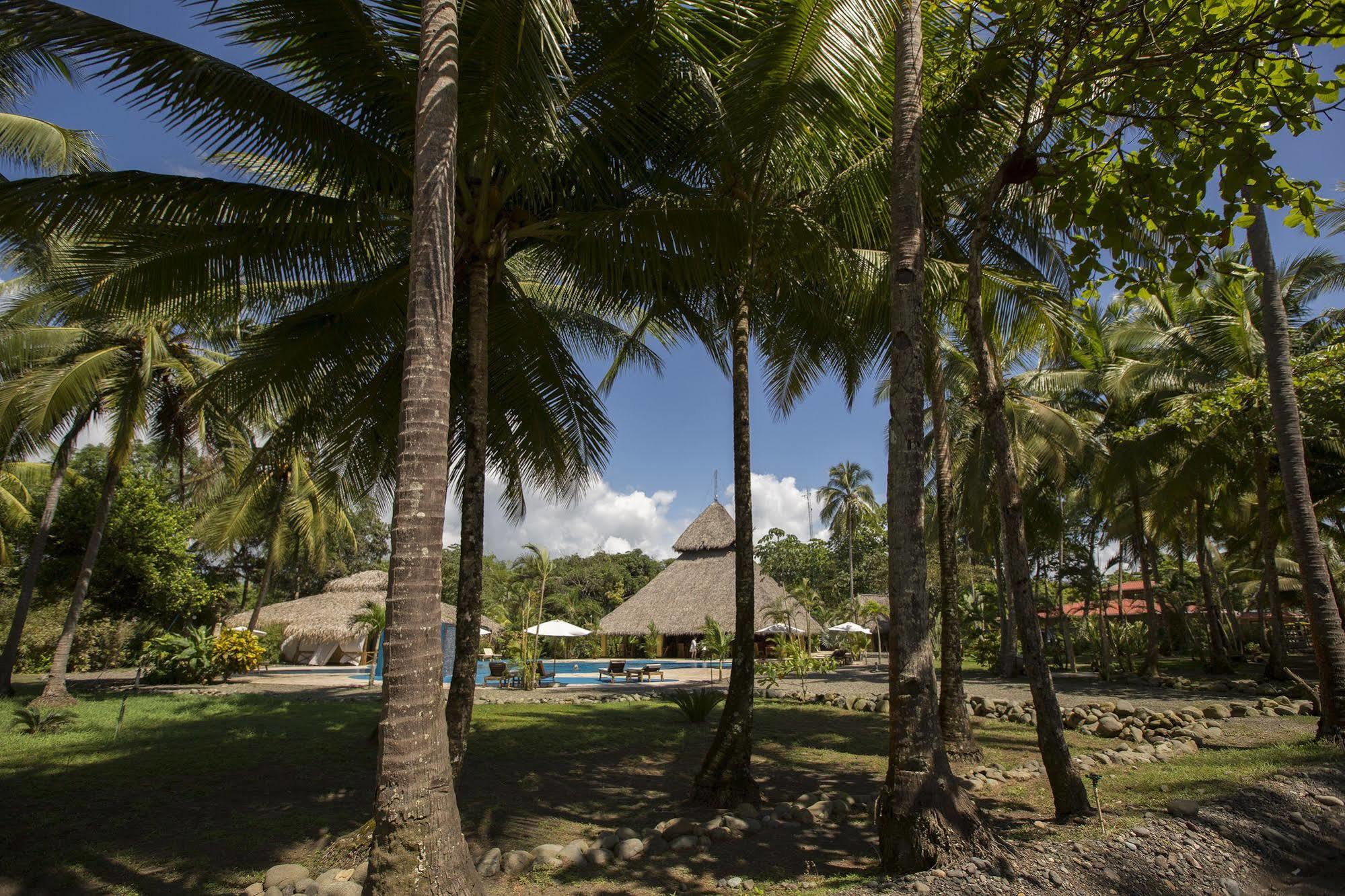 Clandestino Beach Resort Parrita Eksteriør bilde