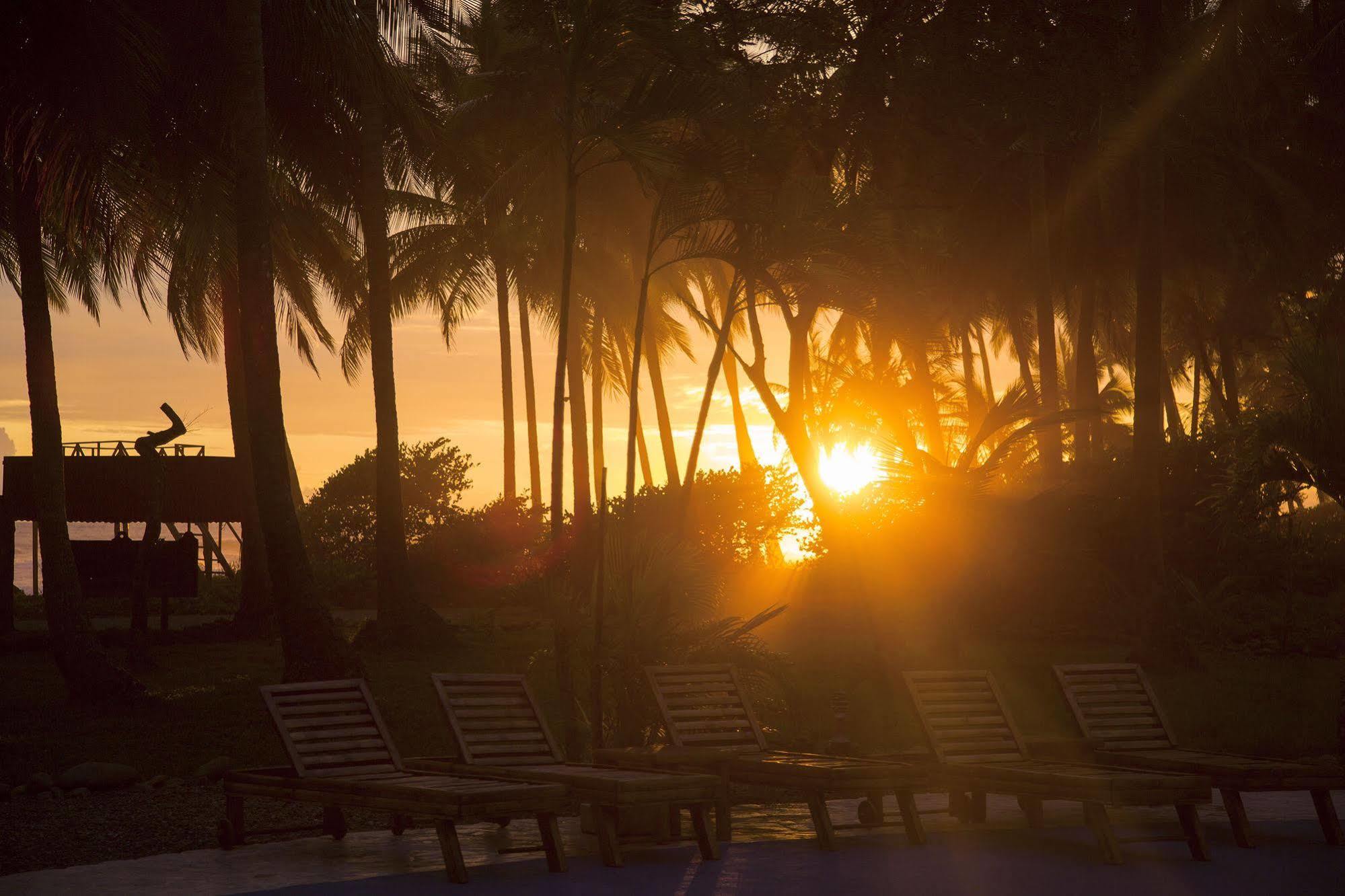 Clandestino Beach Resort Parrita Eksteriør bilde
