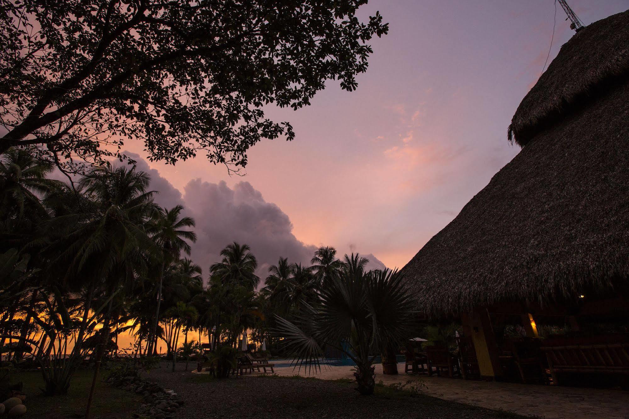 Clandestino Beach Resort Parrita Eksteriør bilde