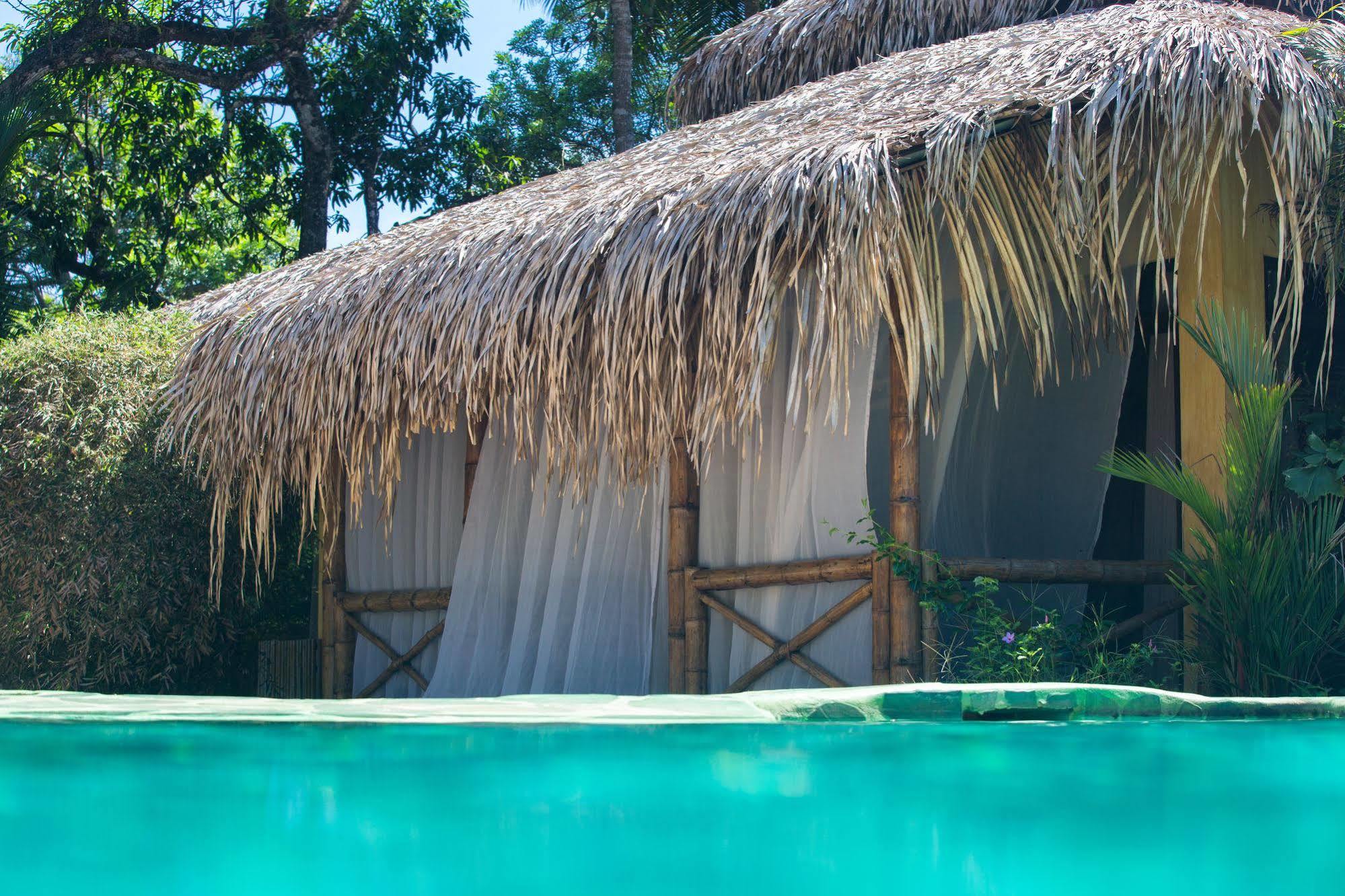 Clandestino Beach Resort Parrita Eksteriør bilde
