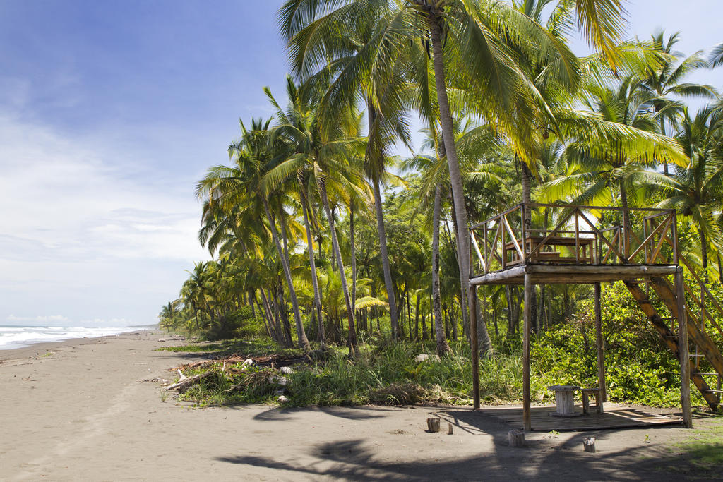 Clandestino Beach Resort Parrita Eksteriør bilde