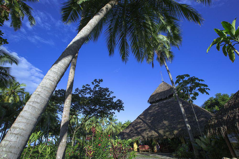 Clandestino Beach Resort Parrita Eksteriør bilde